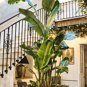 Country house Casa Levante, Arcos de la Frontera